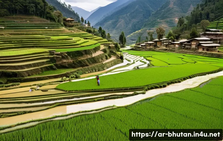 부탄의 주요 강과 하천 - A serene rural Bhutanese village scene featuring terraced rice paddies and potato fields irrigated b...